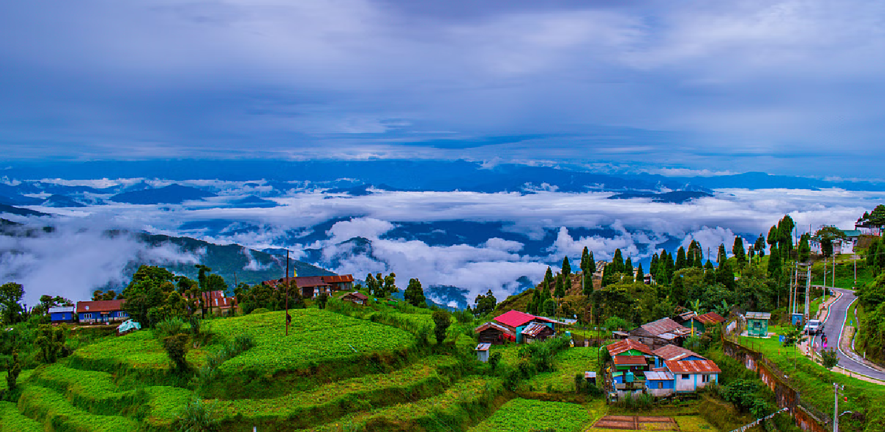 Darjeeling Hill Tour – Tea & Sunrise Views